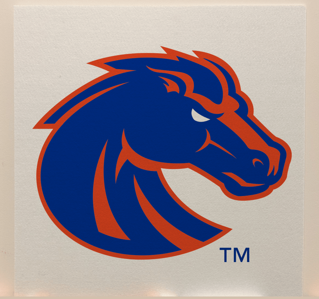 Boise State Officially Licensed College Team Acoustic Wall Panel - Sound Absorption & Fire Safety - The Fan - Brand