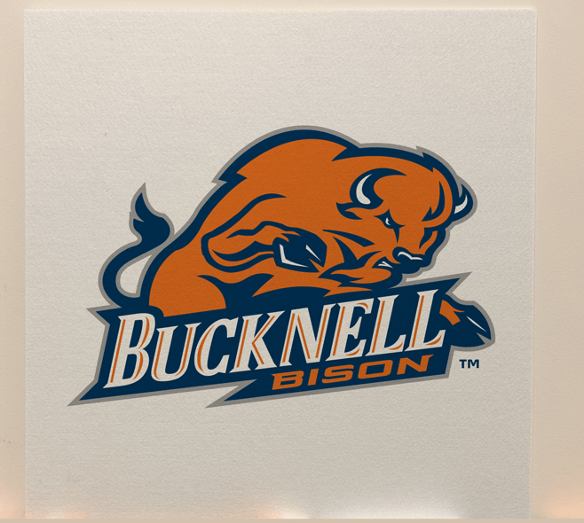 Bucknell Officially Licensed College Team Acoustic Wall Panel - Sound Absorption & Fire Safety - The Fan - Brand
