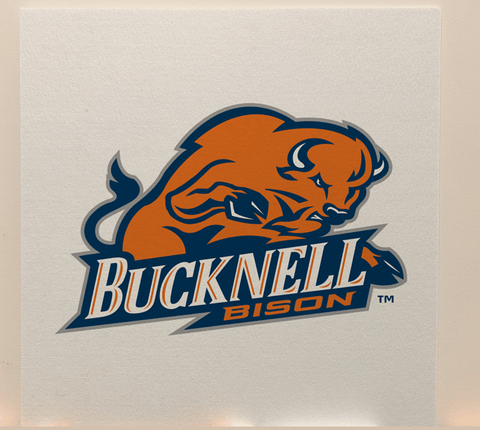 Bucknell Officially Licensed College Team Acoustic Wall Panel - Sound Absorption & Fire Safety - The Fan - Brand