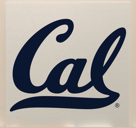 Cal College Team Acoustic Wall Panel - Sound Absorption & Fire Safety - The Fan - Brand