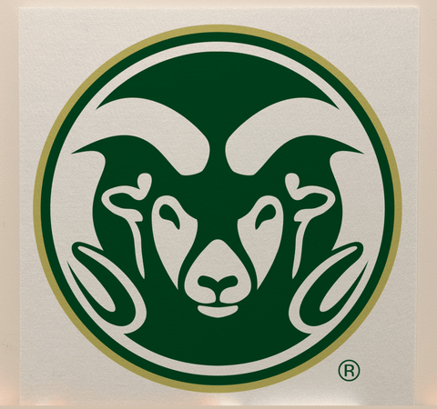 Colorado State Officially Licensed College Team Acoustic Wall Panel - Sound Absorption & Fire Safety - The Fan - Brand