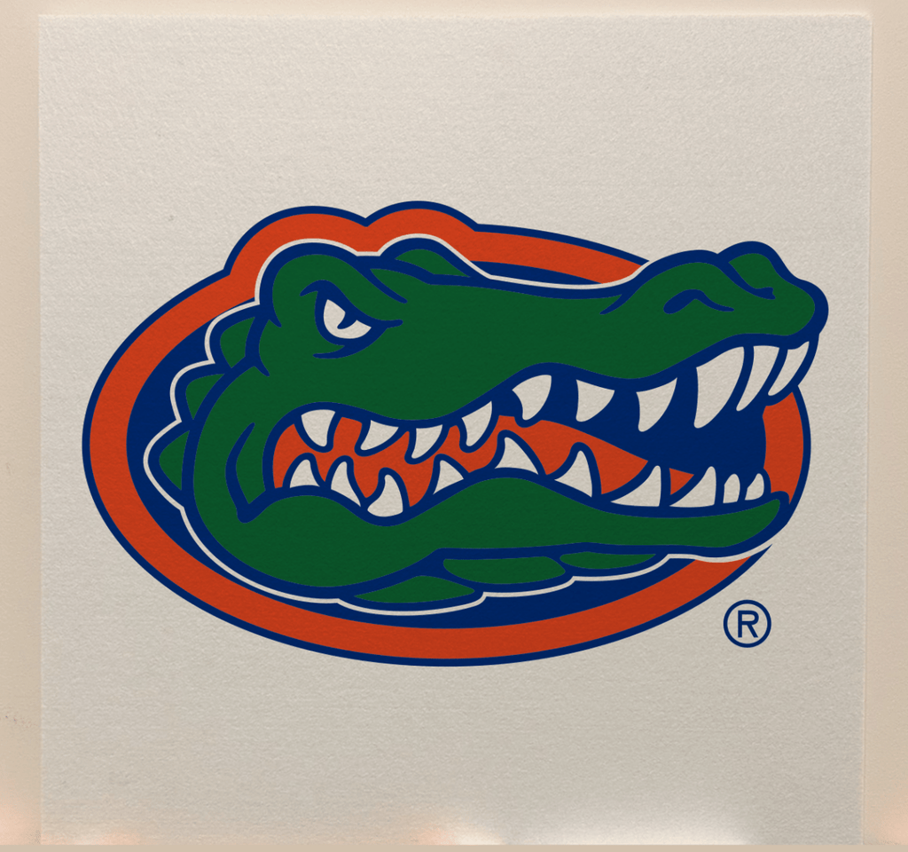 Florida Gators Officially Licensed College Team Acoustic Wall Panel - Sound Absorption & Fire Safety - The Fan - Brand
