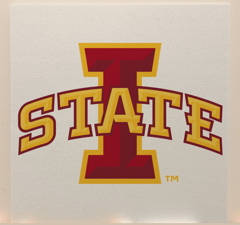 Iowa State Officially Licensed College Team Acoustic Wall Panel - Sound Absorption & Fire Safety - The Fan - Brand