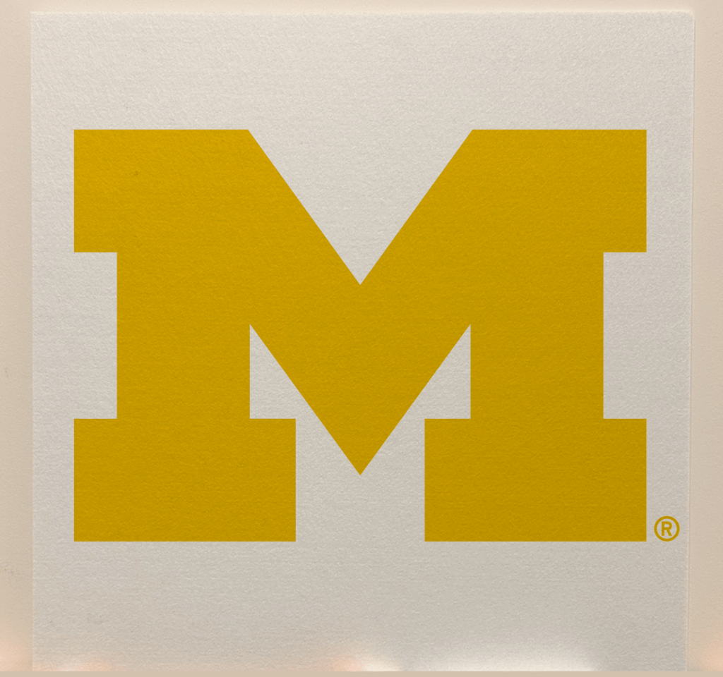 Michigan Officially Licensed College Team Acoustic Wall Panel - Sound Absorption & Fire Safety - The Fan - Brand