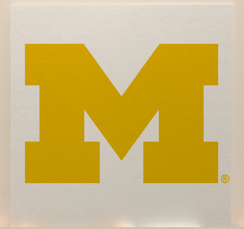 Michigan Officially Licensed College Team Acoustic Wall Panel - Sound Absorption & Fire Safety - The Fan - Brand