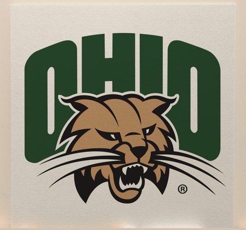 Ohio University Officially Licensed College Team Acoustic Wall Panel - Sound Absorption & Fire Safety - The Fan - Brand