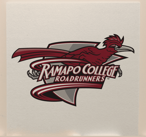 Ramapo College Team Acoustic Wall Panel - Sound Absorption & Fire Safety - The Fan - Brand