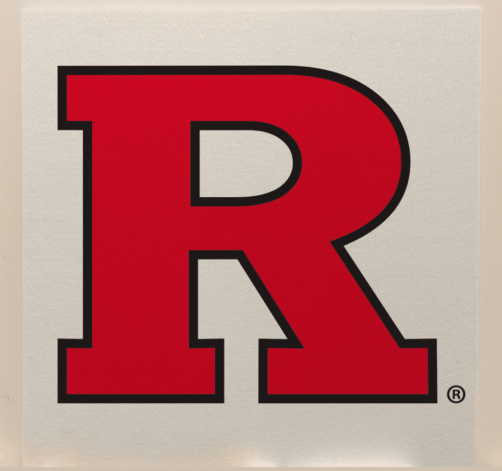 Rutgers College Team Acoustic Wall Panel - Sound Absorption & Fire Safety - The Fan - Brand