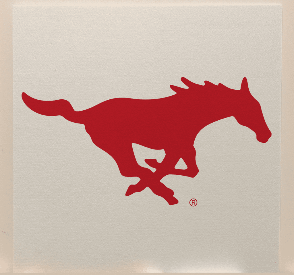 SMU College Team Acoustic Wall Panel - Sound Absorption & Fire Safety - The Fan - Brand