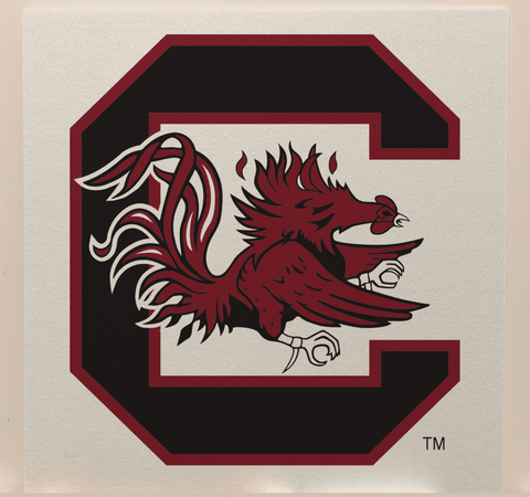 South Carolina College Team Acoustic Wall Panel - Sound Absorption & Fire Safety - The Fan - Brand