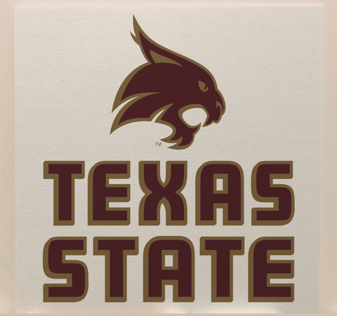 Texas State College Team Acoustic Wall Panel - Sound Absorption & Fire Safety - The Fan - Brand