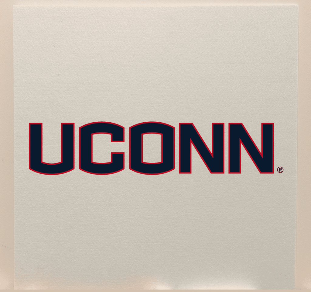 UConn College Team Acoustic Wall Panel - Sound Absorption & Fire Safety - The Fan - Brand