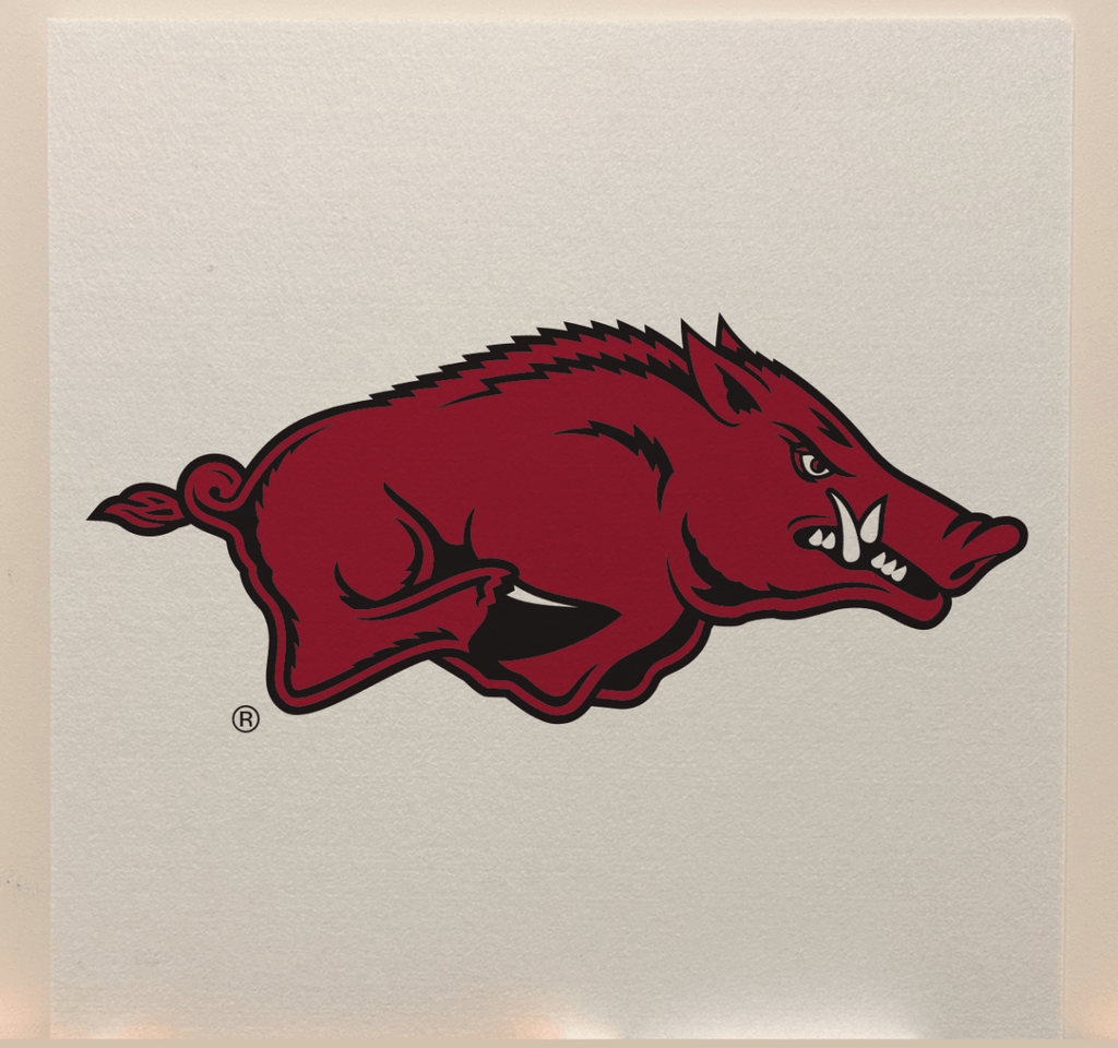 University of Arkansas Officially Licensed College Team Acoustic Wall Panel - Sound Absorption & Fire Safety - The Fan - Brand