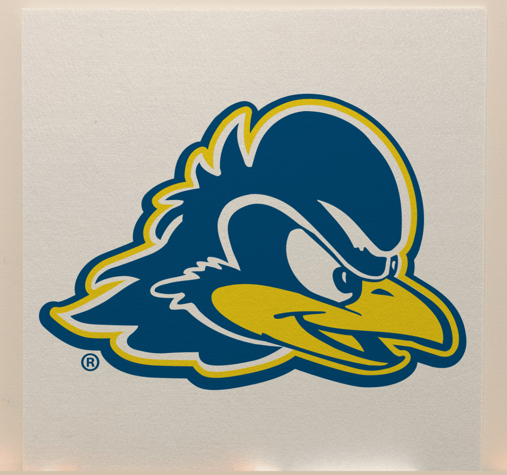 University of Delaware Officially Licensed College Team Acoustic Wall Panel - Sound Absorption & Fire Safety - The Fan - Brand
