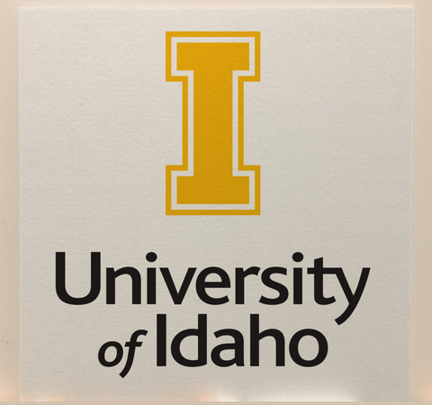 University of Idaho Officially Licensed College Team Acoustic Wall Panel - Sound Absorption & Fire Safety - The Fan - Brand