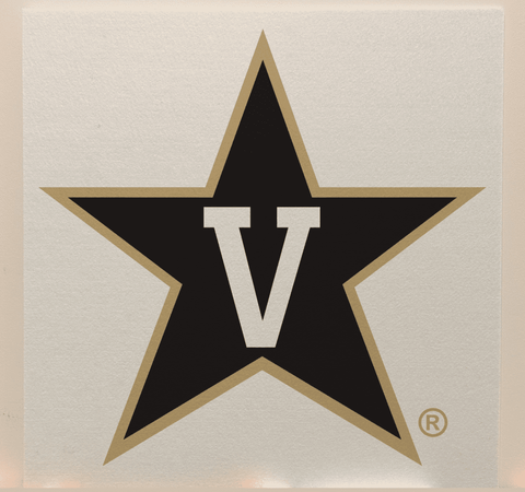 Vanderbilt College Team Acoustic Wall Panel - Sound Absorption & Fire Safety - The Fan - Brand
