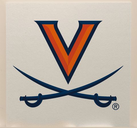Virginia College Team Acoustic Wall Panel - Sound Absorption & Fire Safety - The Fan - Brand