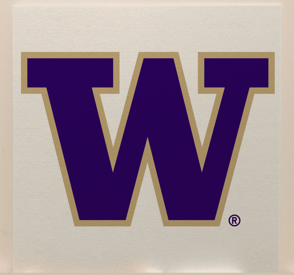 Washington Tech College Team Acoustic Wall Panel - Sound Absorption & Fire Safety - The Fan - Brand