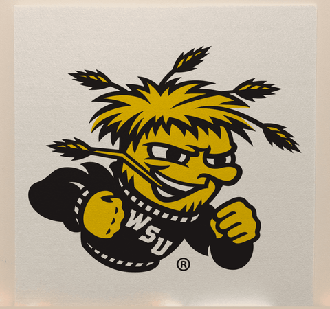 Wichita State Tech College Team Acoustic Wall Panel - Sound Absorption & Fire Safety - The Fan - Brand